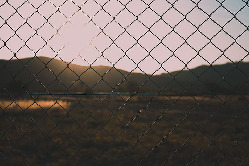 Nature, Blur, Smooth, Grid, Fence HD wallpaper