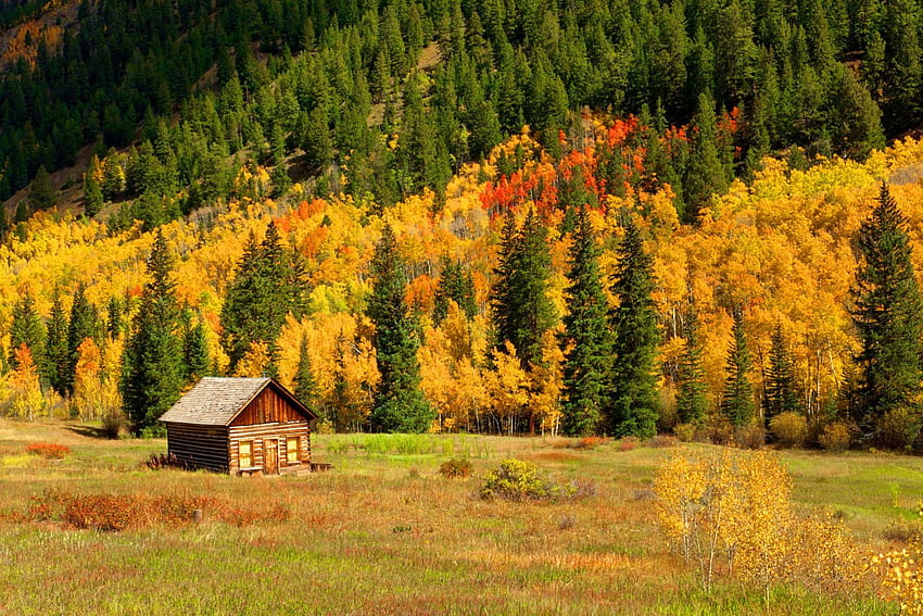 Cabana de outono, declive, queda, linda, lvoely, montanha, cabana, folhas, árvores, outono, natureza, chalé, folhagem papel de parede HD