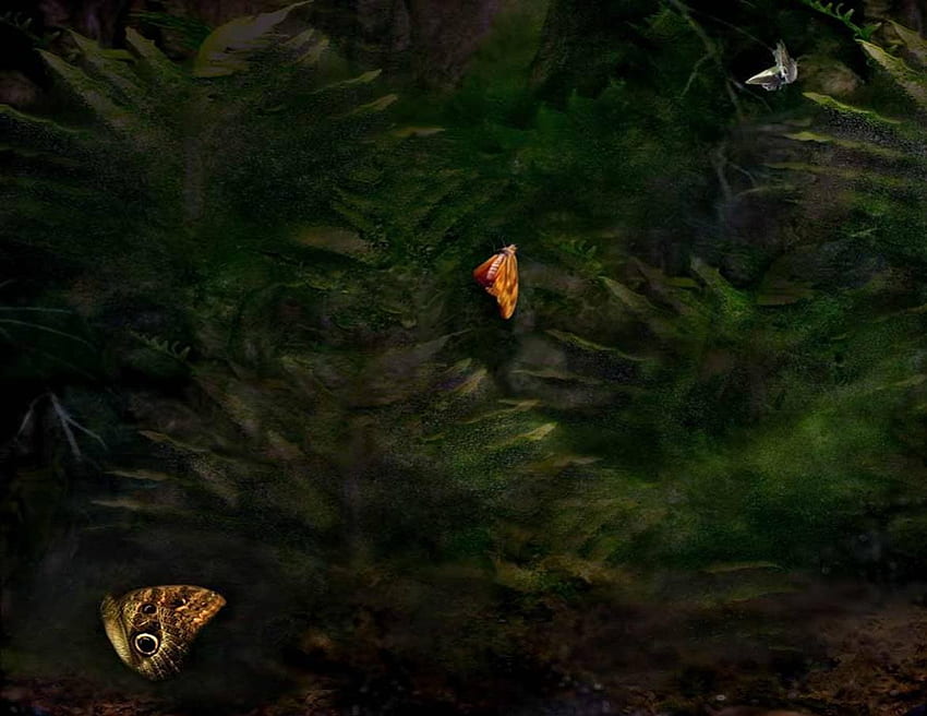 Schmetterlingskunst, Schmetterlinge, grüne Blätter, Kunst HD-Hintergrundbild