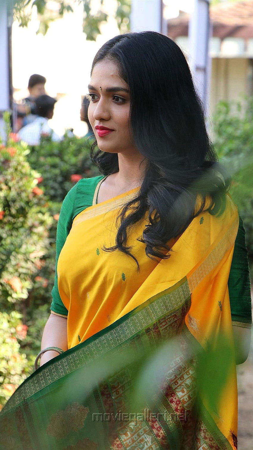 Sunaina, tamil actress, saree lover HD phone wallpaper