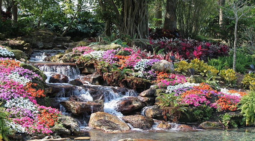 babbling brook in a garden, trees, flowers, rocks, brook HD wallpaper