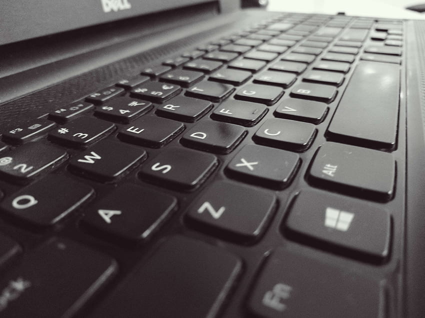black and white, computer keyboard, keyboard, laptop HD wallpaper