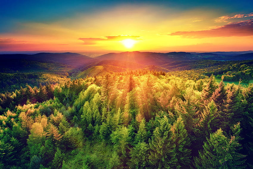 Zachód słońca nad lasem, słońce, las, wschód słońca, promienie, ranek, blask, piękny, drzewa, niebo, zachód słońca Tapeta HD