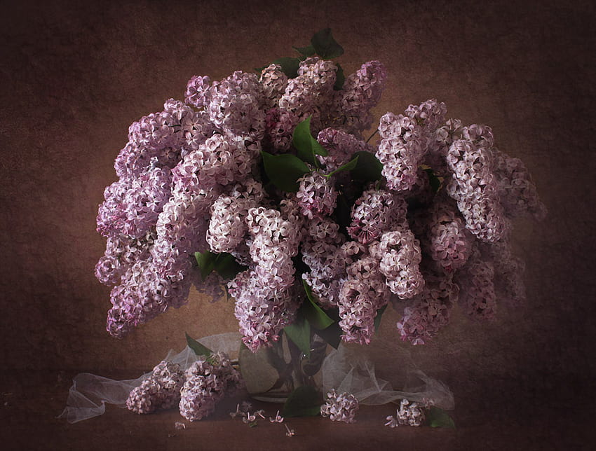 Still life, graphy, lilacs, vase, colors, beautiful, pretty, flowers, lovely, lilac HD wallpaper