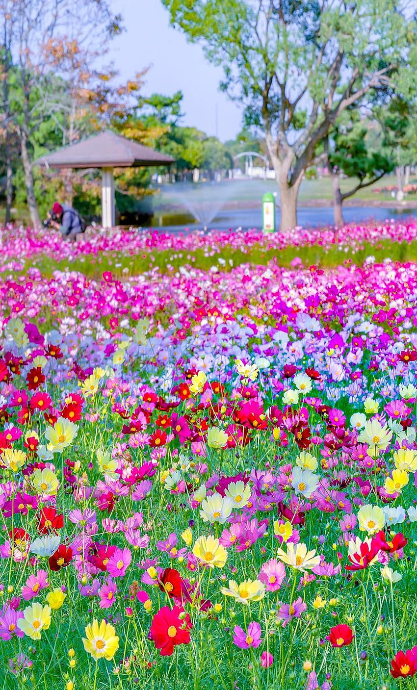 Beautiful Scenery, Beautiful Gardens, Beautiful World, ,, Most Beautiful Garden HD phone wallpaper