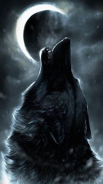 Dark Wolf background black gothic witch wolves HD wallpaper  Peakpx