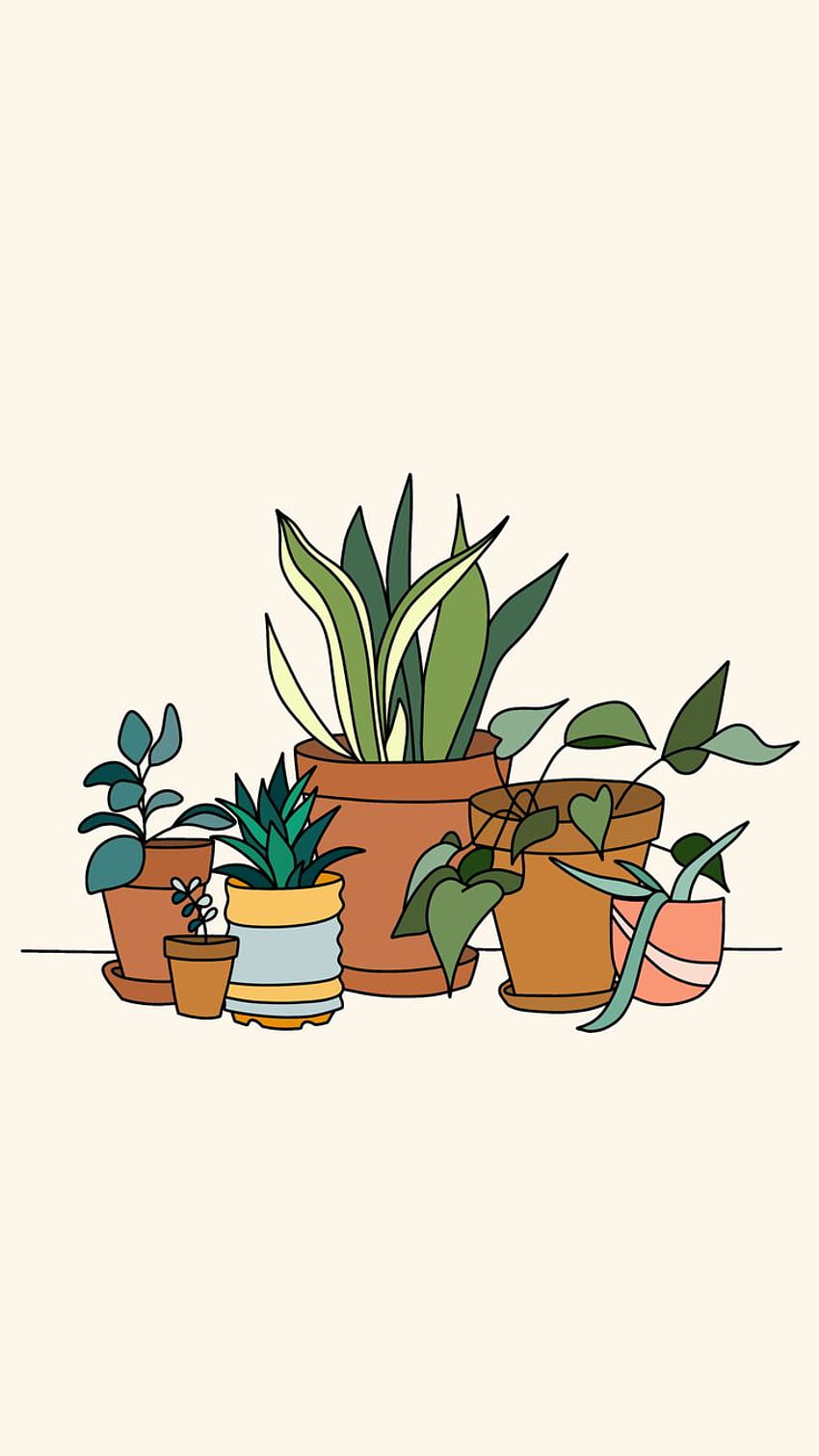 Plant Sketches on Pinterest
