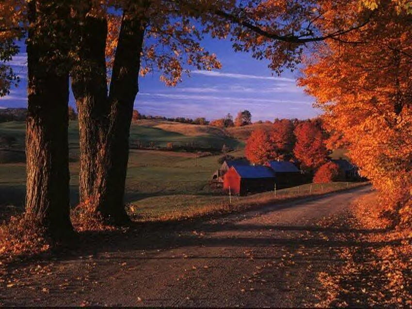 Селски дом, дървета, есен, небе, дом HD тапет