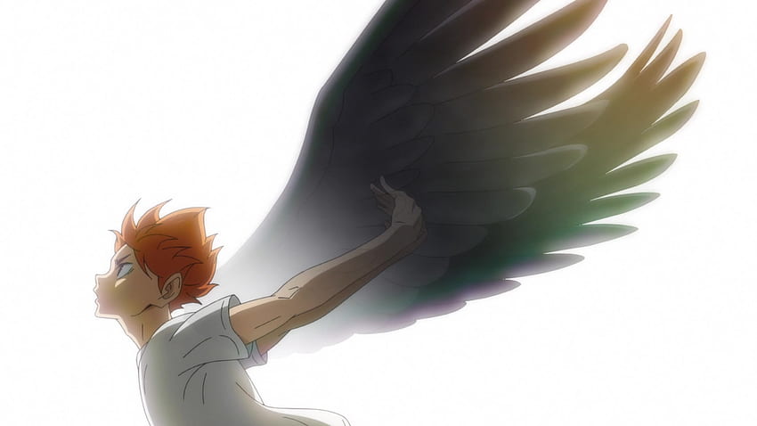Recenzja anime Haikyuu!!: To the Top odcinek 1 - Bateshi Anime Blog, Haikyuu Wings Tapeta HD