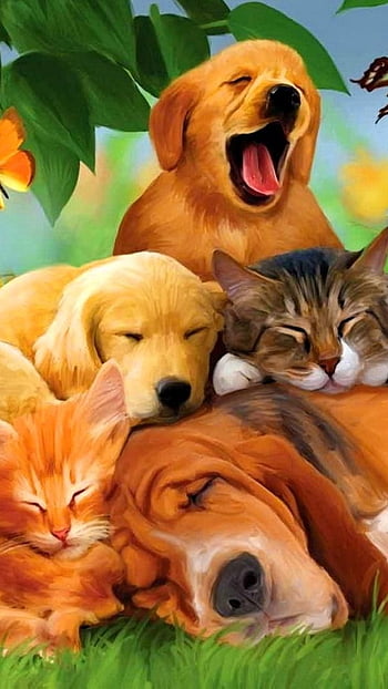 Page 7 Dog Cat Hd Wallpapers Pxfuel