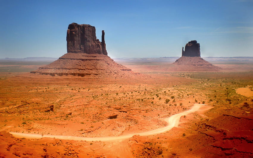 Nature, Desert, Vegetation, Canyons HD wallpaper