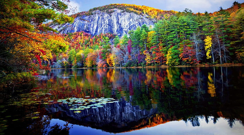 Jesienne refleksje, kolorowe, upadek, piękne, odbicia, spokojne, górskie, jezioro, brzeg, jesień, las Tapeta HD