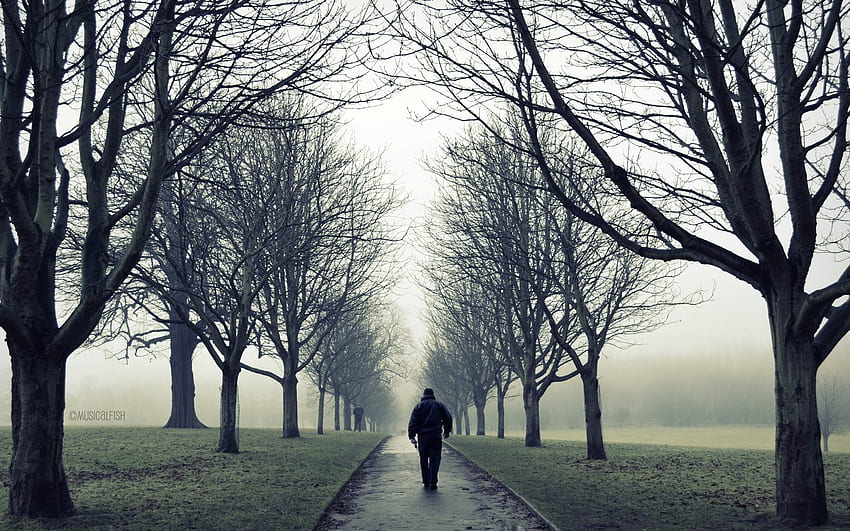 Lonely Man In Road - Marcher seul dans le parc, promenade dans la rue Fond d'écran HD