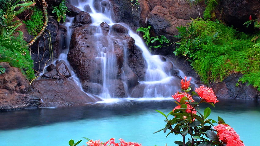 Waterfall and red flower, fall, beautiful, rocks, serenity, nice, falling, quiet, pretty, red, waterfall, nature, flowers, pool, water, calm, lovely HD wallpaper