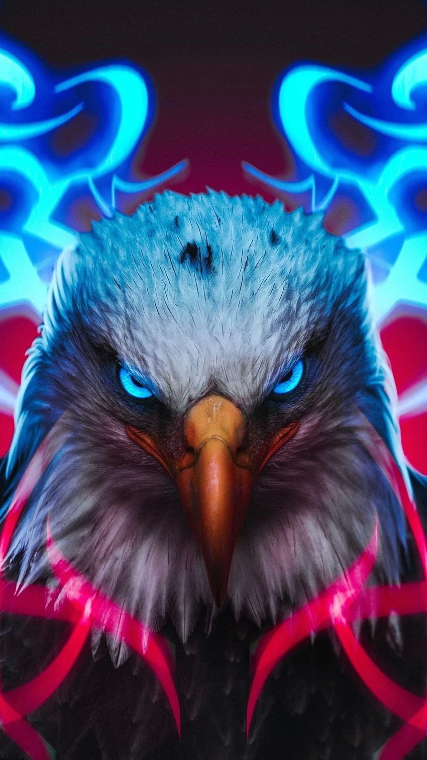 cristian rozo en fonditos. Águila, águila, águila, pájaro fresco fondo de pantalla del teléfono
