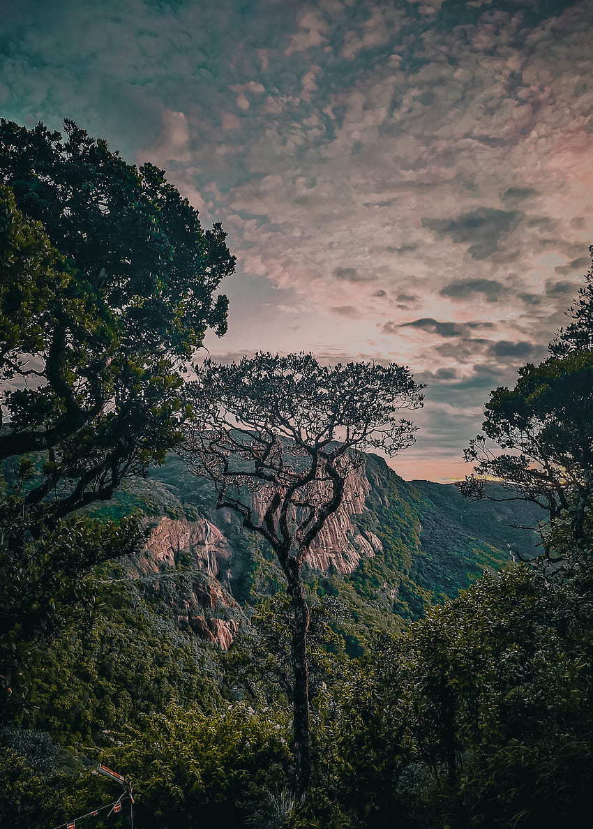 산의 아름다움, 구름, 하늘, 스리랑카, 자연, 어둠 HD 전화 배경 화면