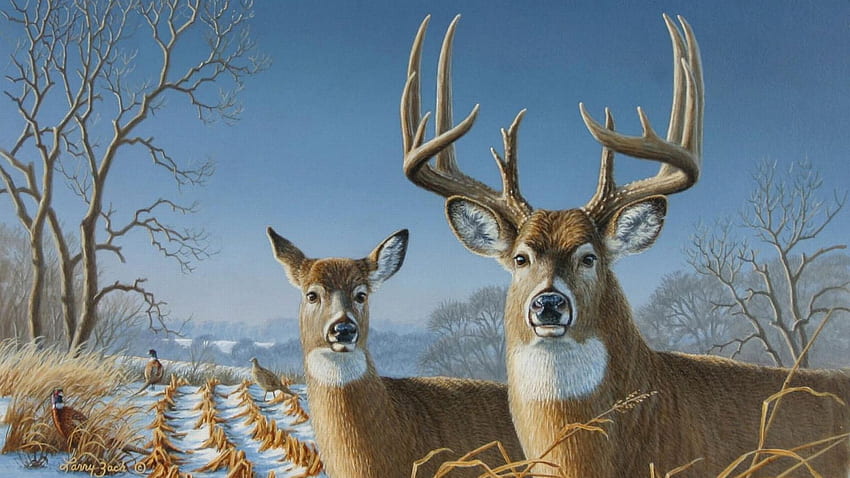 deer hunting HD wallpaper
