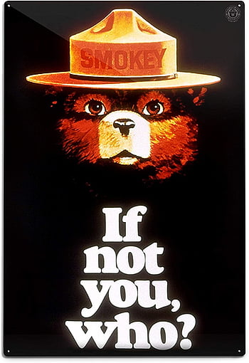Trevor Burtz on Instagram Only you can prevent forest fires This Smokey  Bear had been up for grabs for awhile after its original client no showed  I always knew i