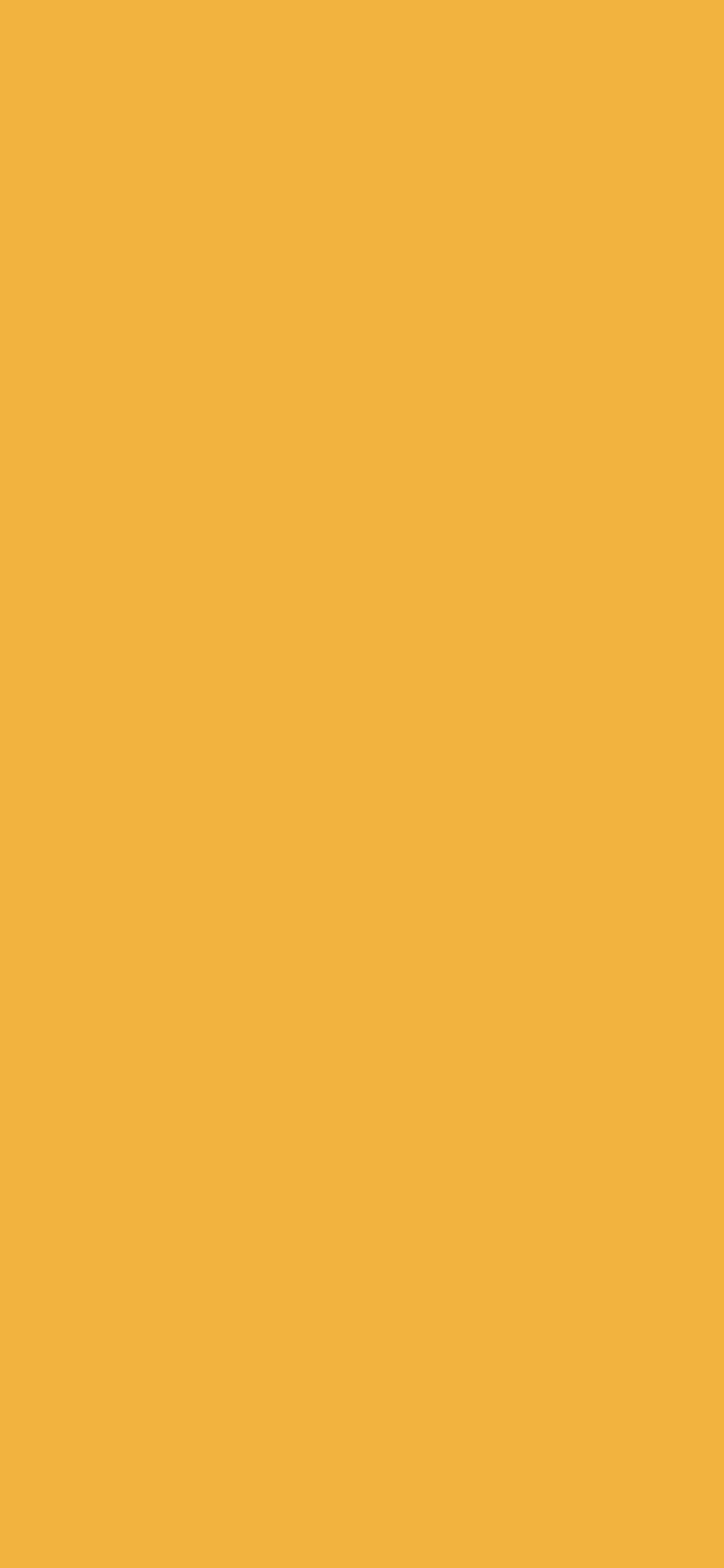 Mustard Yellow Twitter Header, & background, Mustard Yellow Aesthetic HD phone wallpaper