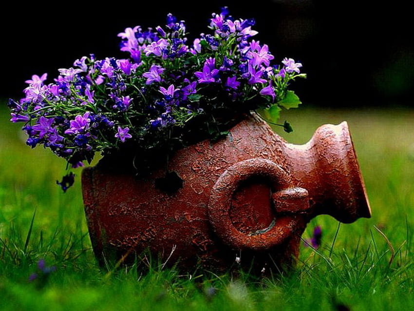 amphora, garden, bluebell, pot, flower HD wallpaper