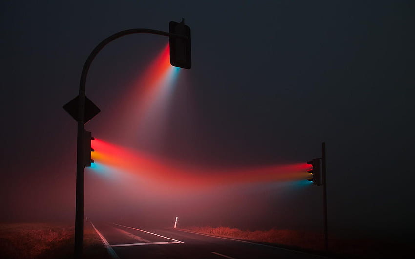 霧の中の街路灯 : 高画質の壁紙