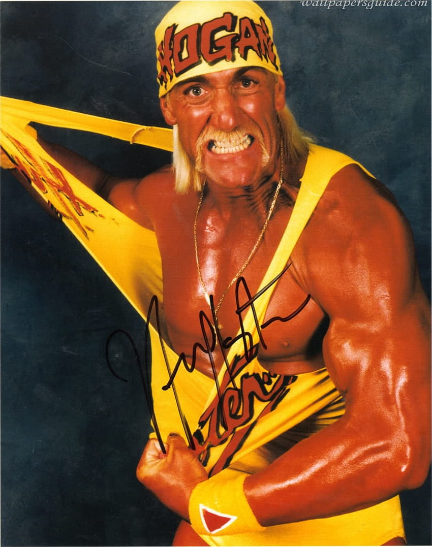 Free download Hulk Hogan Wallpaper Hd Background Download Mobile Iphone  Galaxy 900x1350 for your Desktop Mobile  Tablet  Explore 23 Hulk Hogan  iPhone Wallpapers  Hulk Hogan Wallpaper Hulk Wallpaper Hulk Wallpapers