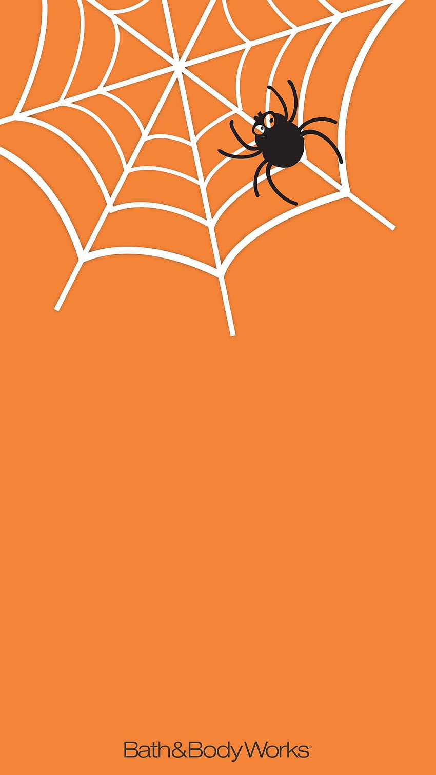 Spider web wallpaper Royalty Free Vector Image