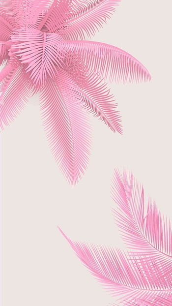 Pink Background Pink Palm Leaves Drawing Aesthetic Iphone In 2020. Pink  Iphone, Cute Girl , Background Girly HD phone wallpaper | Pxfuel