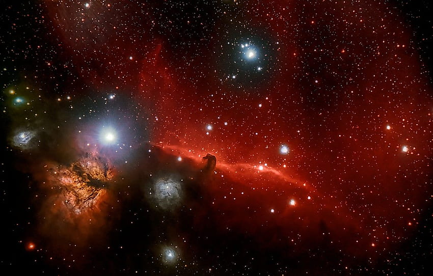 Horse Head, Orion, in the constellation, dark, Horse Nebula HD wallpaper