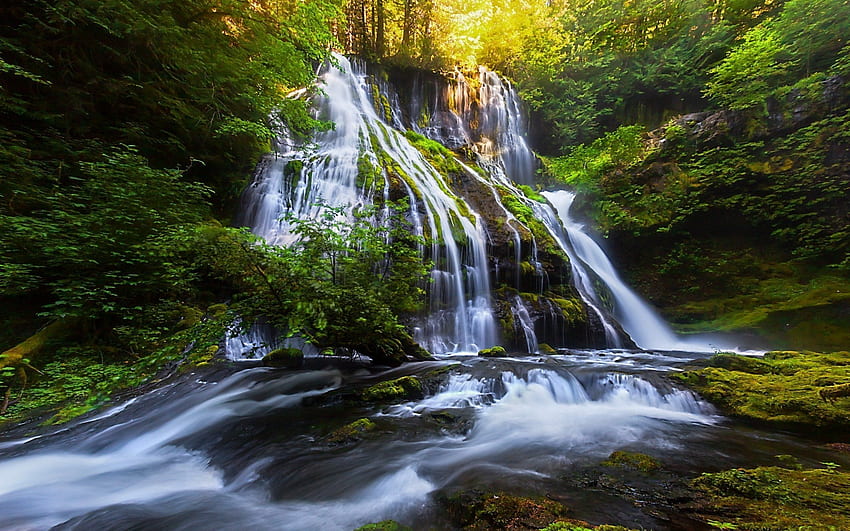 25++ Nature Waterfall, Waterfall Landscape HD wallpaper | Pxfuel