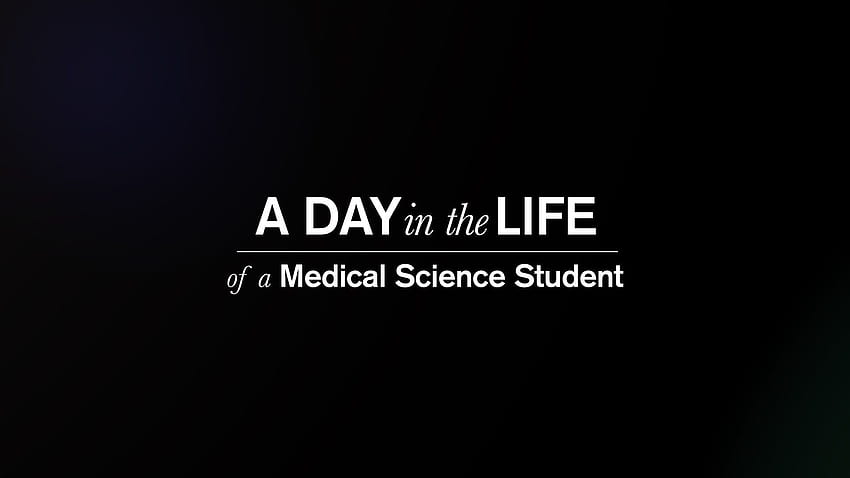 Studente di medicina, medico nero Sfondo HD
