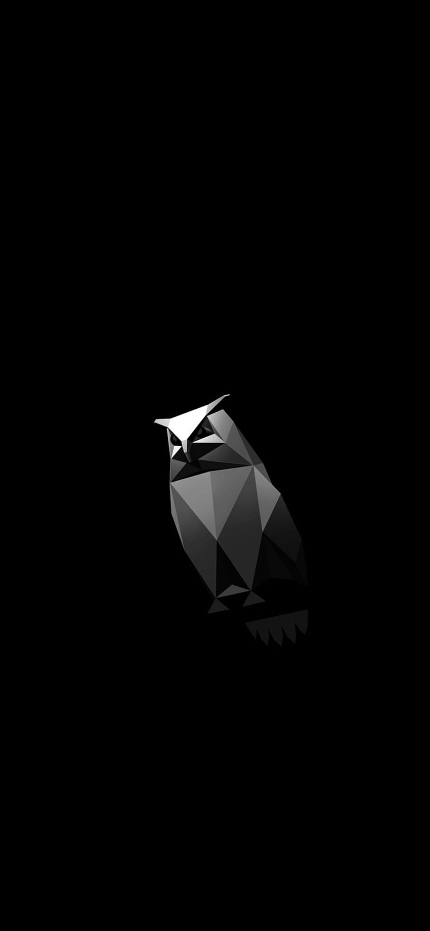 Animowany, minimalistyczny Cybertruck Owl iPhone: teslamotors, Midnight Owl Tapeta na telefon HD