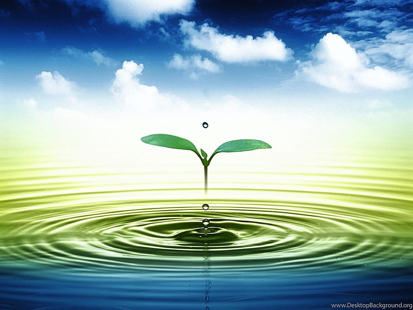 3D Leaves And Water Drop Background, Cool 3D Water HD wallpaper