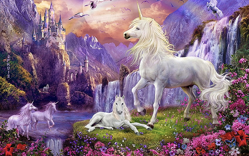 unicorn, surga, kegembiraan, cinta Wallpaper HD