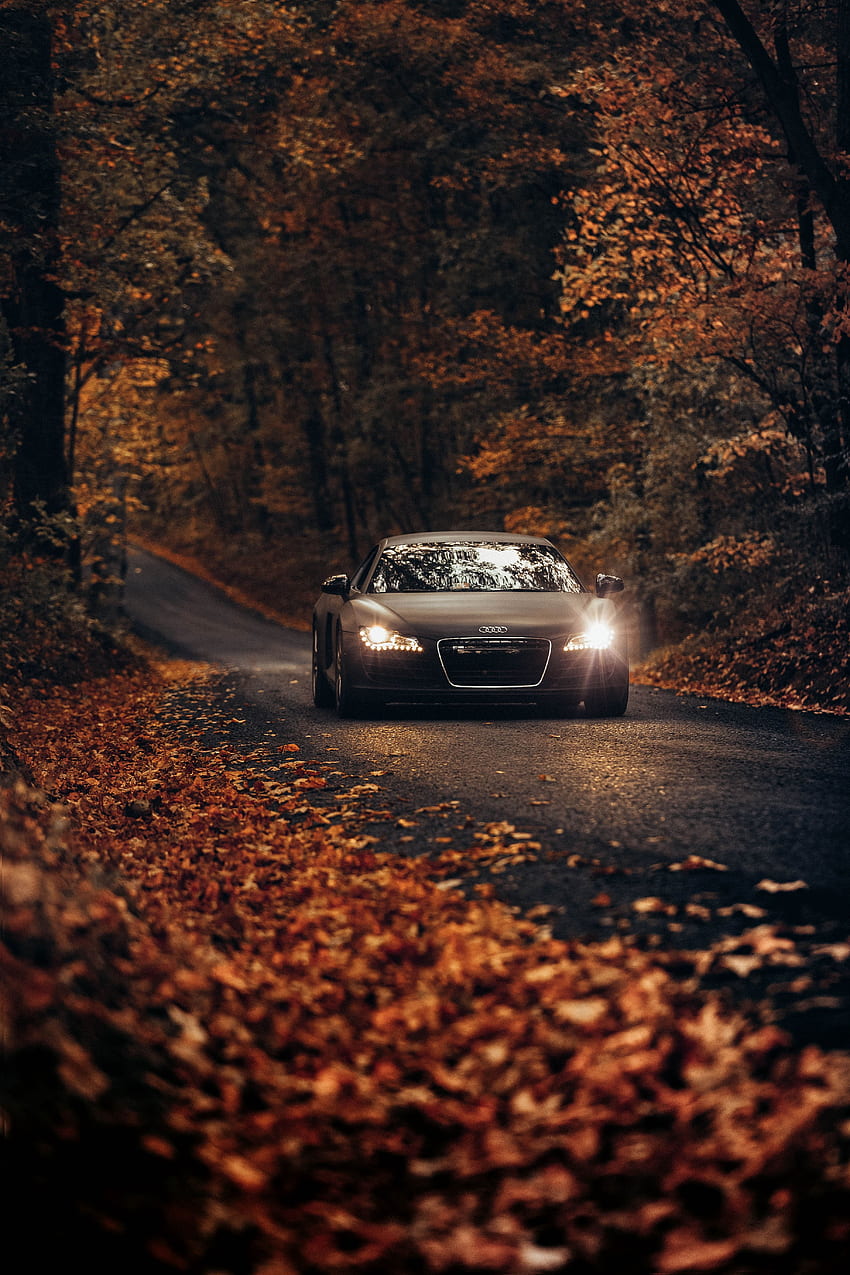 Audi, Autumn, Cars, Road, Traffic, Movement, Asphalt, Audi Tt HD phone wallpaper