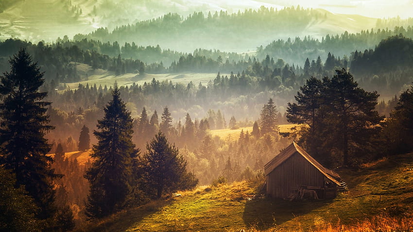 Misty Sunrise, trees, landscape, hills, forest, barn HD wallpaper