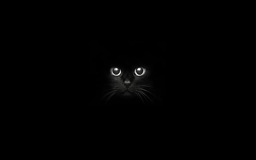 Macbook Retina background 15, 4 inch (). Black cat eyes. Black cat eyes, Black background, Art, 2880 X 1800 Black HD wallpaper