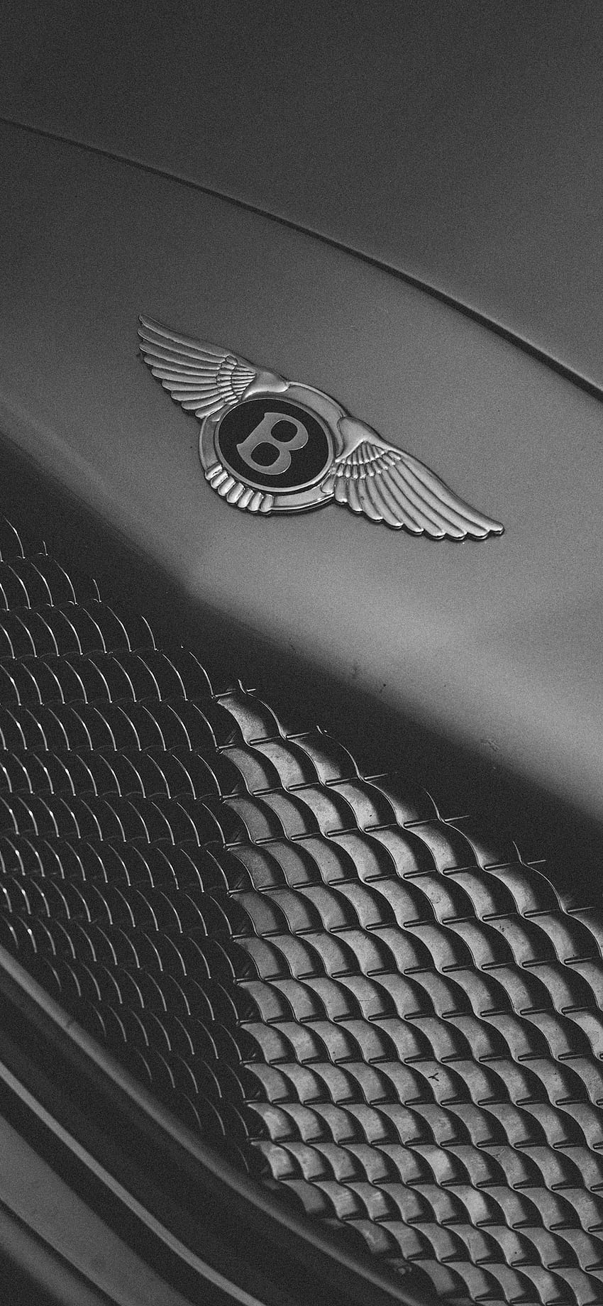 Bentley for iPhone X, 8, 7, 6, Bently HD phone wallpaper