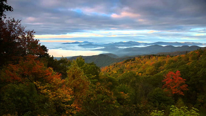 Fall Color in Asheville 2013, Autumn NC Mountains HD wallpaper | Pxfuel