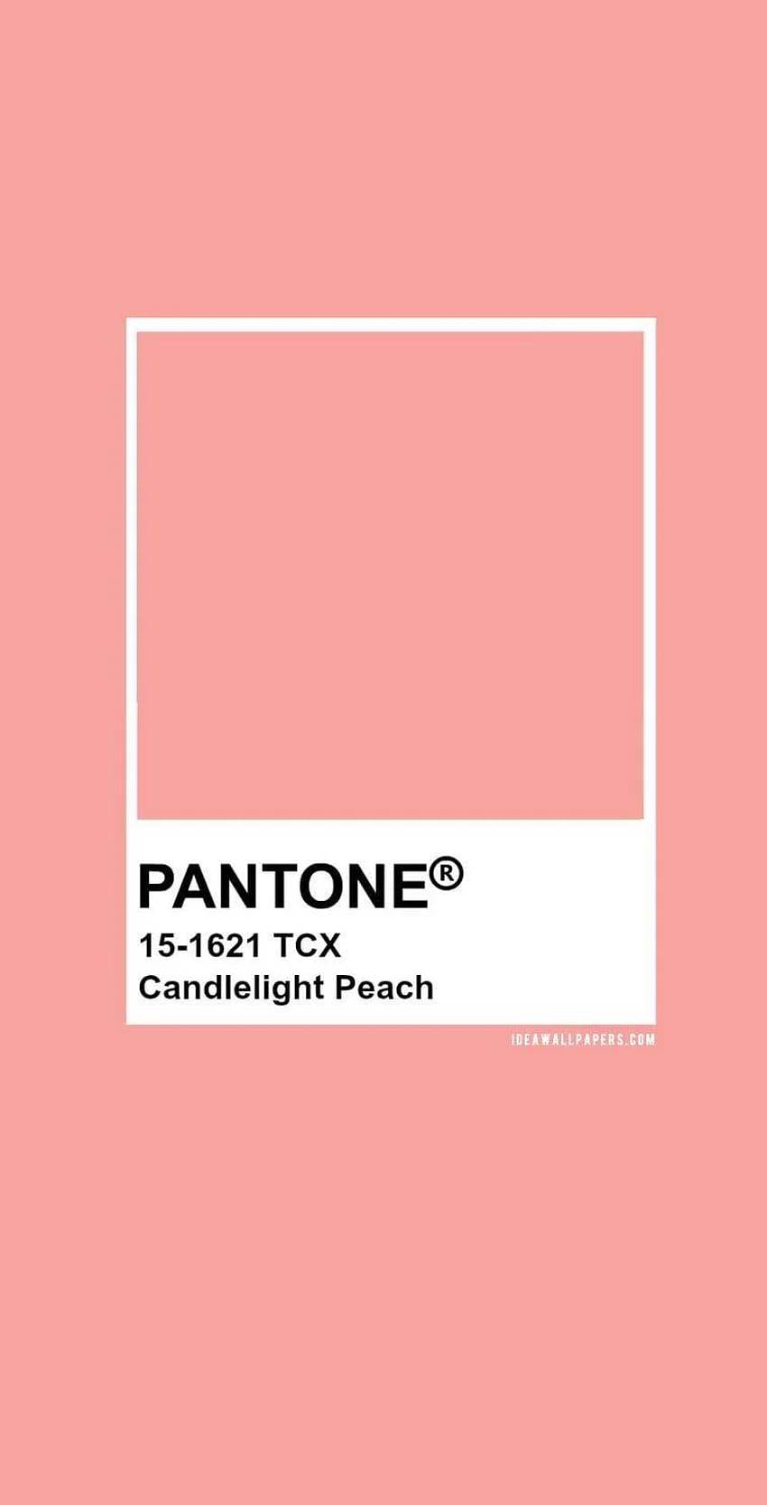 パントン カラー パレット : パントン キャンドルライト ピーチ HD電話の壁紙