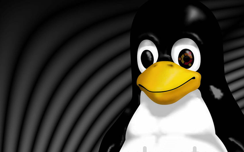 Linux Tux ブループリント Linux コンピューター Tux - Linux Tux 高画質の壁紙