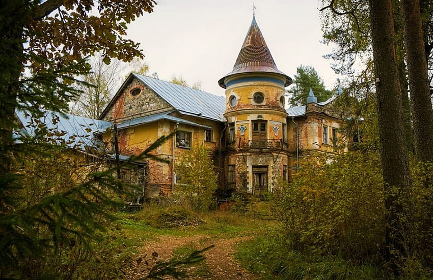 Abandoned House, season, plants, path, trees, autumn HD wallpaper