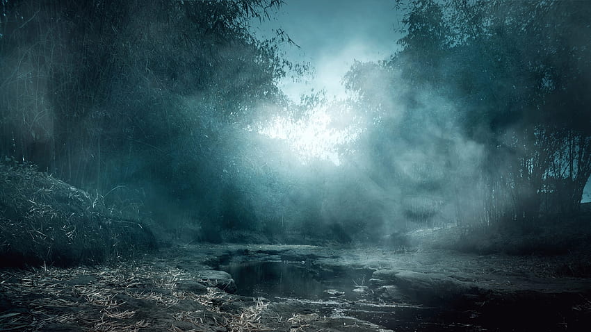 Creepy Forest - Top Creepy Forest Background, Scary Place HD wallpaper