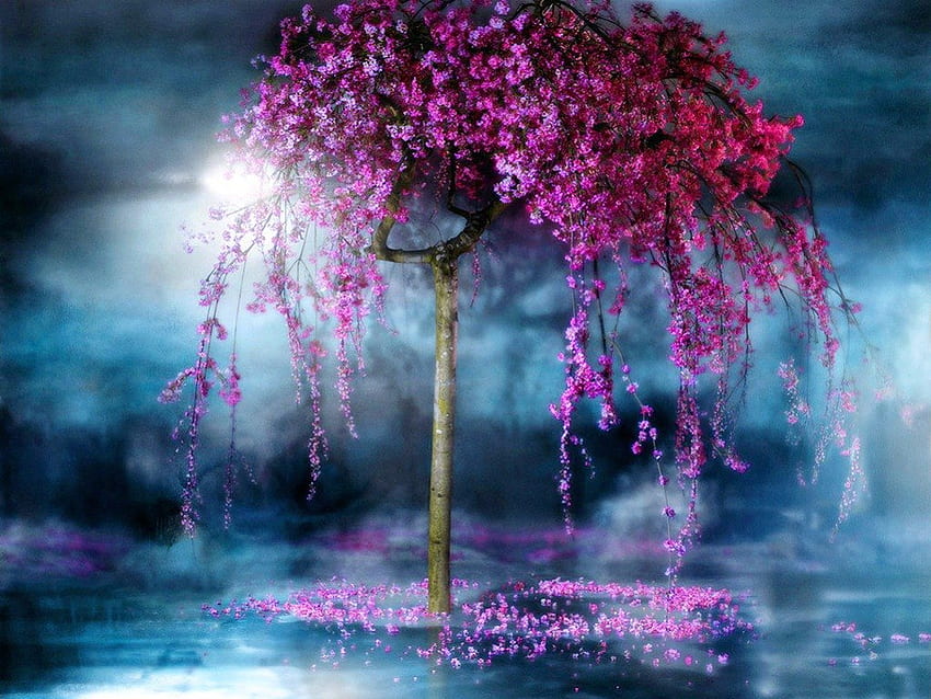 Pohon yang menakjubkan, kabut, biru, merah muda, kaskade, mekar, pohon Wallpaper HD
