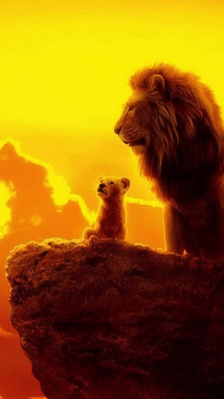 The Lion King 2019 Mufasa Simba, Awesome Lion King HD phone wallpaper