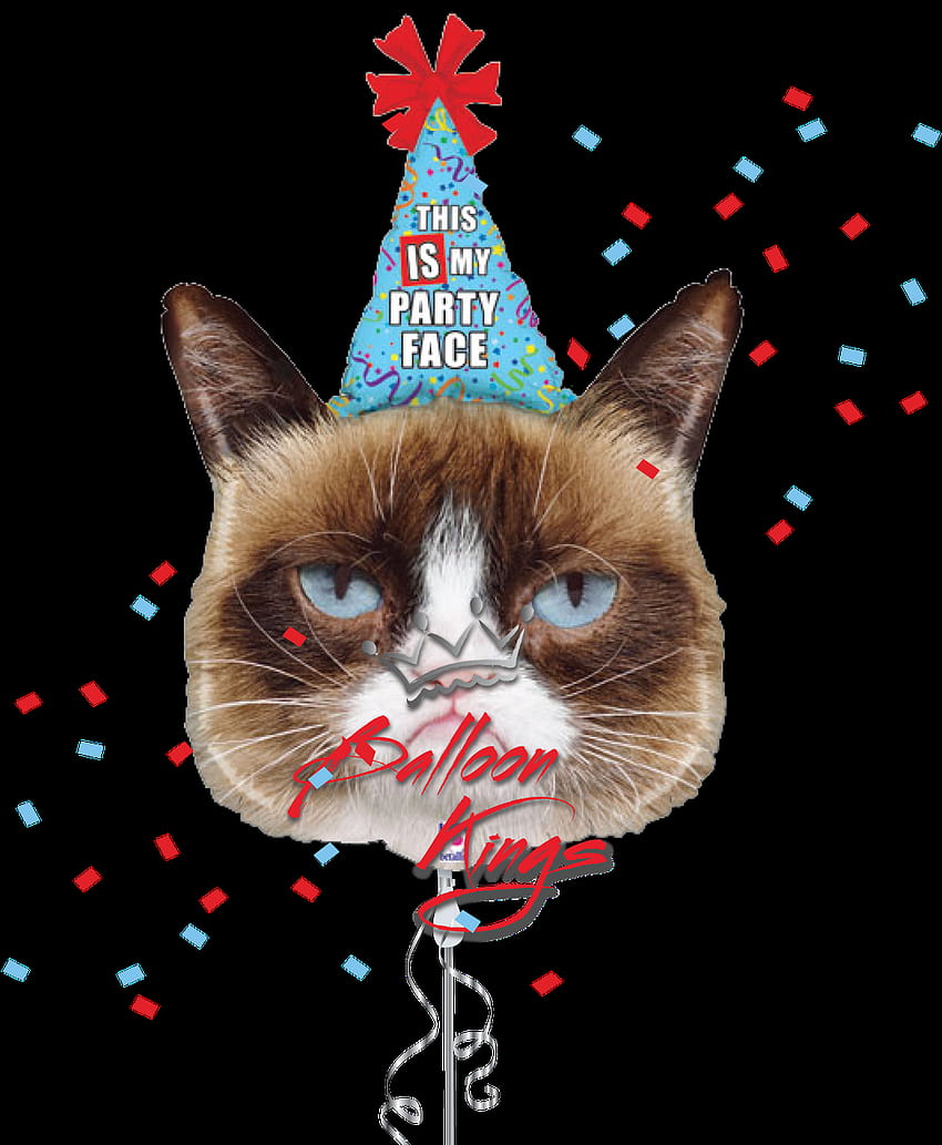 Grumpy Cat No Background, Nope Grumpy Cat HD phone wallpaper