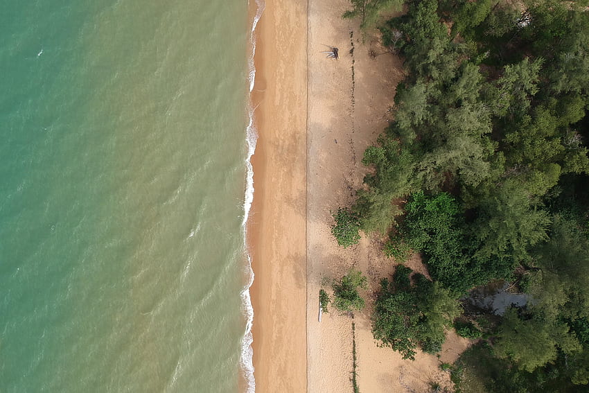 Снимка от въздуха, дървета, плаж HD тапет