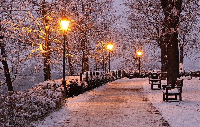 winter, snow, trees, lights, Park, the evening, Brno Czech Republic HD wallpaper