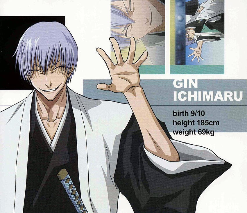 Gin Ichimaru, height, bleach, weight, gin, wave, always smiling, birth HD wallpaper