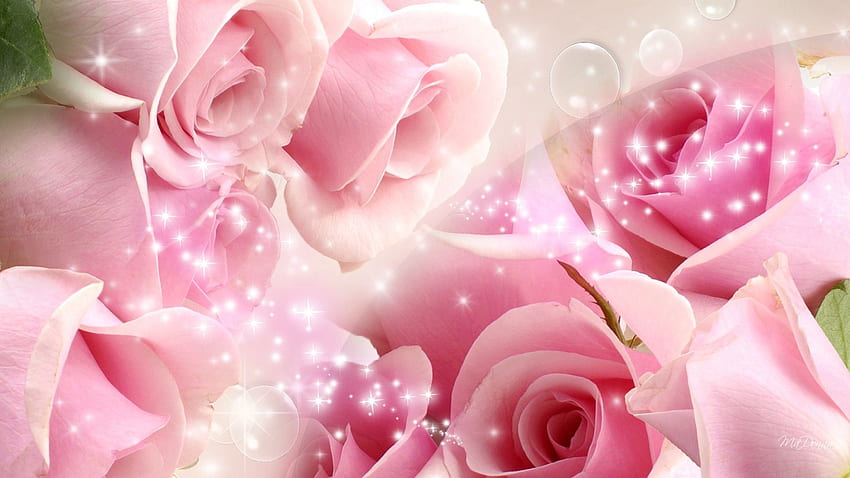 Save 20% When You Order Early For Your Valentine! Choose Delivery, Pink Rose HD wallpaper